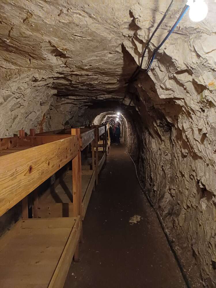 Cubs Stay in Ramsgate Tunnels