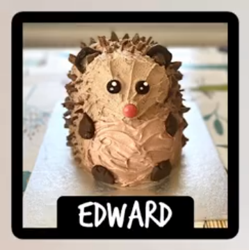 Hedgehogs and Cake!