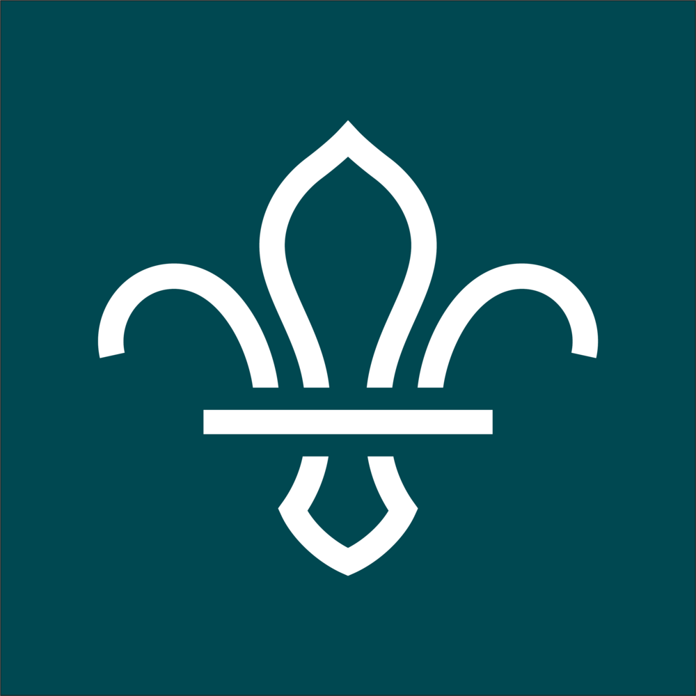 Scouts Summer Camp